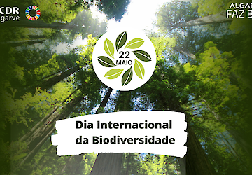 Algarve: uma Região que defende e valoriza a Biodiversidade
