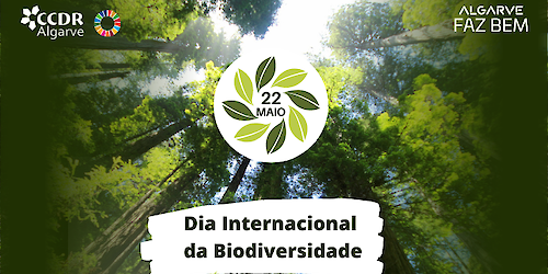 Algarve: uma Região que defende e valoriza a Biodiversidade