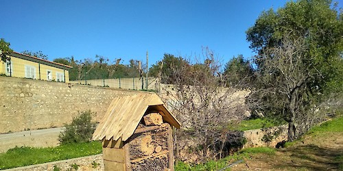 Loulé fomenta biodiversidade em meio urbano com instalação de abrigos para aves, insetos e morcegos