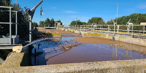 Projecto cria primeira quinta na Europa que utiliza águas residuais para a criação de peixe e vegetais