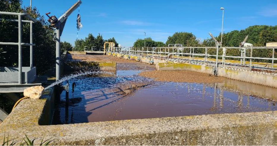 Projecto cria primeira quinta na Europa que utiliza águas residuais para a criação de peixe e vegetais