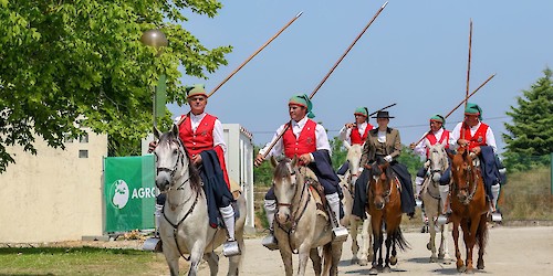 Milhares na Feira Nacional de Agricultura