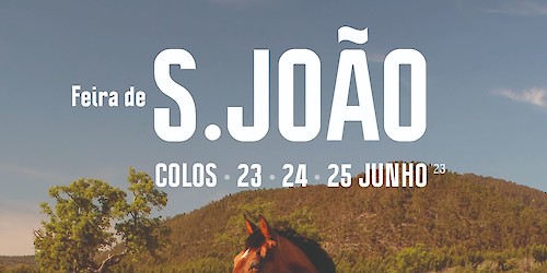 Colos em festa com a Feira de São João