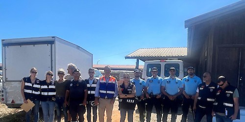 Acção de fiscalização no Bairro Horta da Areia, em Faro, verifica em-estar de animais de companhia