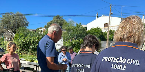 Município de Loulé sensibiliza para a Vespa Velutina