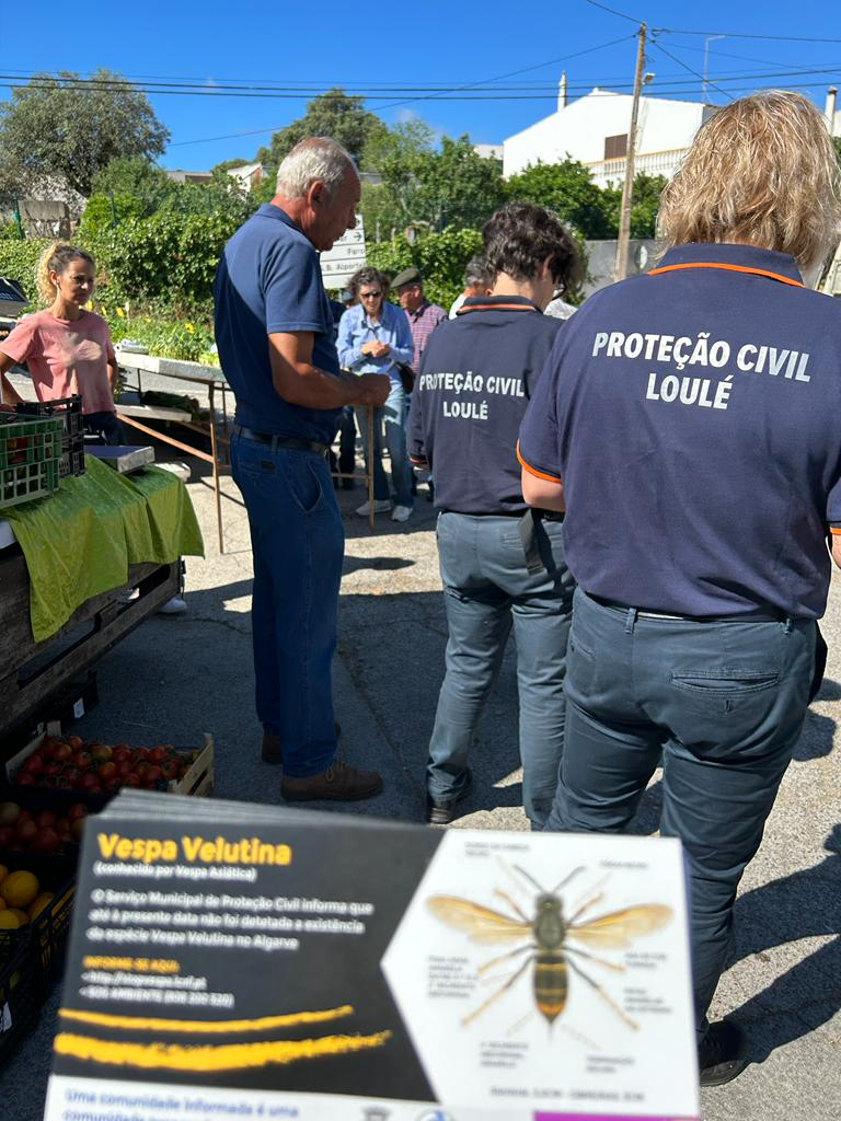 Município de Loulé sensibiliza para a Vespa Velutina