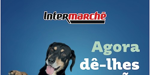 Intermarché associa-se à causa animal com nova campanha solidária Amiga-me