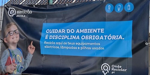 Escolas de Faro recolheram cerca de 26 toneladas de pilhas, lâmpadas e equipamentos eléctricos usados