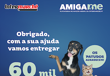 Intermarché angaria 60 mil refeições para animais com campanha “Amiga-me”