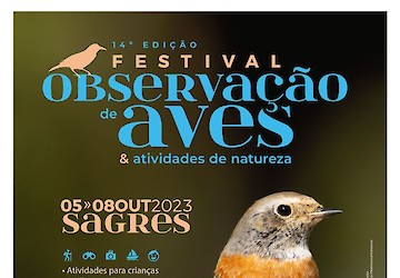 Festival de Observação de Aves & Atividades de Natureza regressa a Sagres de 5 a 8 de Outubro
