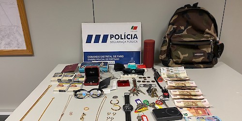 PSP deteve homem em Lagos por furto a residências