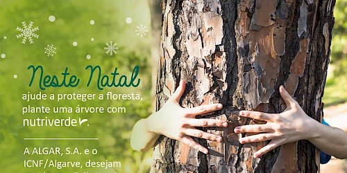 A ALGAR e o ICNF desejam as Boas Festas com campanha de sensibilização ambiental!