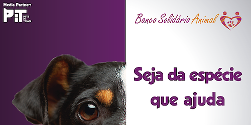 Banco Solidário Animal (BSA) está de volta para apoiar animais em risco