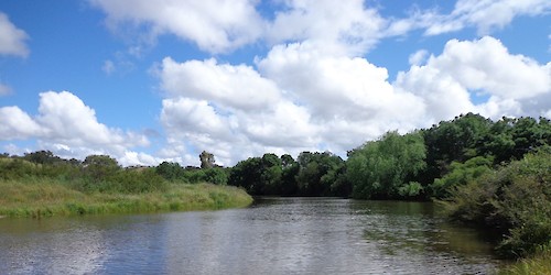 Estudo publicado na Nature conclui que recuperação da biodiversidade dos rios europeus estagnou na década de 2010