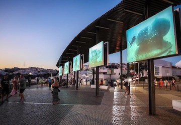 “Edp Art Reef”– a primeira exposição artística subaquática da costa portuguesa está em Albufeira