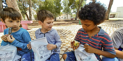 Novo estudo APCOI e ISAMB indica:  1 em cada 3 turmas em Portugal ainda não tem acesso a fruta gratuita na escola