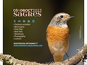 Maior evento nacional dedicado às aves e à Natureza arranca amanhã em Sagres - 1