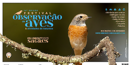 Maior evento nacional dedicado às aves e à Natureza arranca amanhã em Sagres