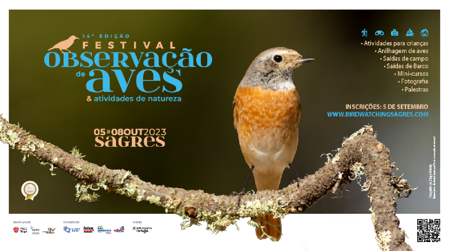 Maior evento nacional dedicado às aves e à Natureza arranca amanhã em Sagres