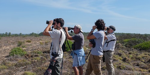 Mais de 1100 pessoas participaram na edição do Festival de Observação de Aves & Atividades de Natureza de 2023