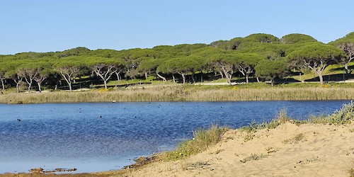 Foz do Almargem e do Trafal, um tesouro que deu prémios