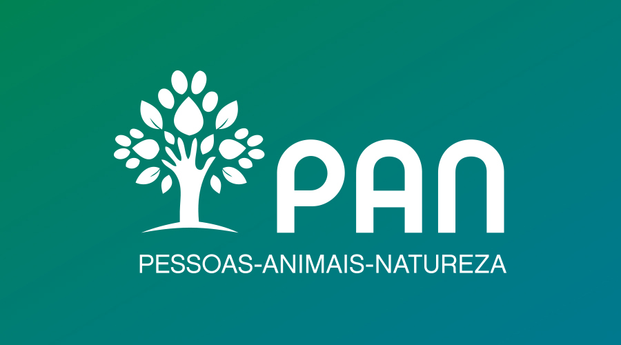 PAN: Porto de recreio de Faro: crime ecológico a concurso público
