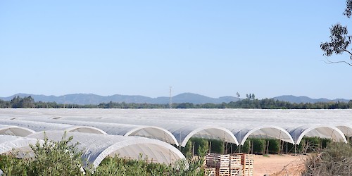 Quem garante “a defesa do interesse público” no Parque Natural do Sudoeste Alentejano e Costa Vicentina?