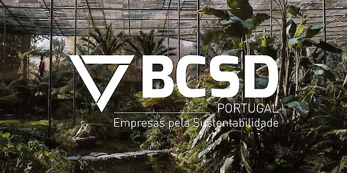 BCSD Portugal avalia Diversidade, Equidade e Inclusão nas Empresas em Portugal