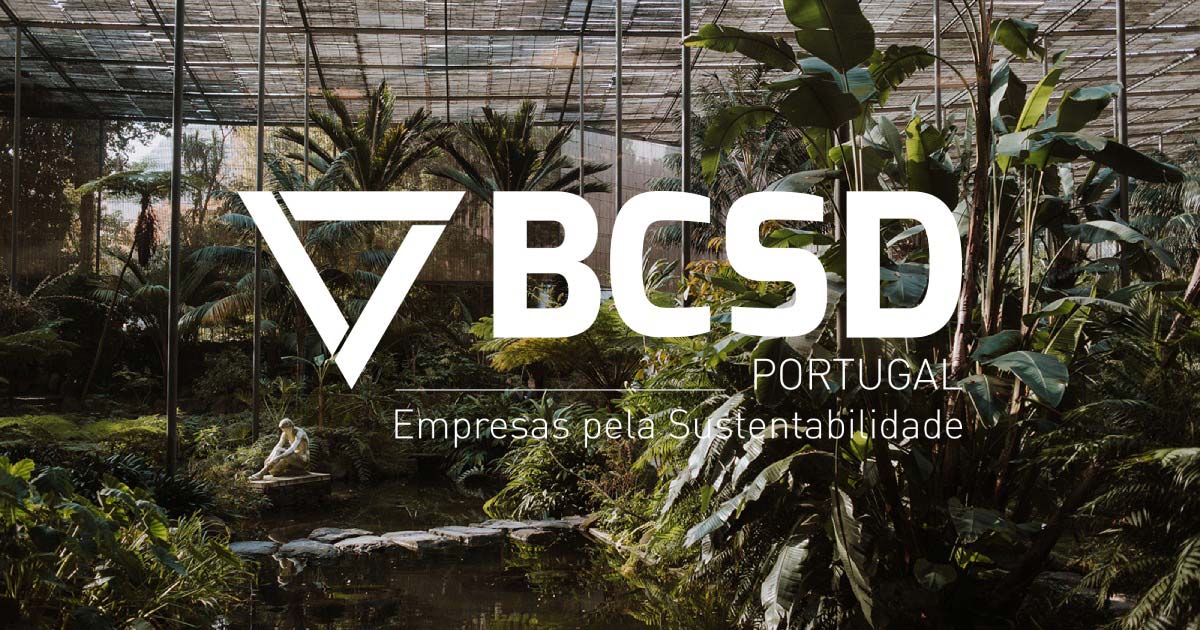 BCSD Portugal avalia Diversidade, Equidade e Inclusão nas Empresas em Portugal