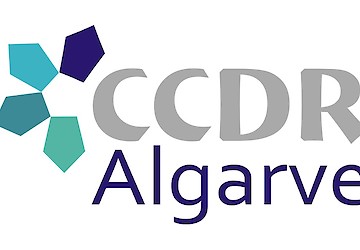 Água: Presidente da CCDR Algarve defende consensos na gestão de recurso estratégico para o Algarve