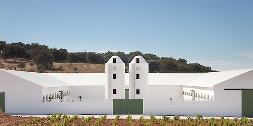 Medronho, Vinhos de Autor e Design de Assinatura: as propostas da Herdade Aldeia de Cima para esta consoada