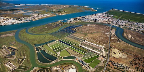 Está aprovado o Plano de Cogestão da Reserva Natural do Sapal de Castro Marim e Vila Real de Santo António