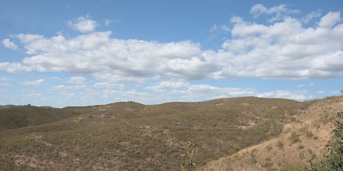 ANP|WWF com nova intervenção de restauro na Serra do Caldeirão