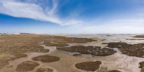 Consulta Pública ao Plano de Cogestão do Parque Natural da Ria Formosa arranca dia 12