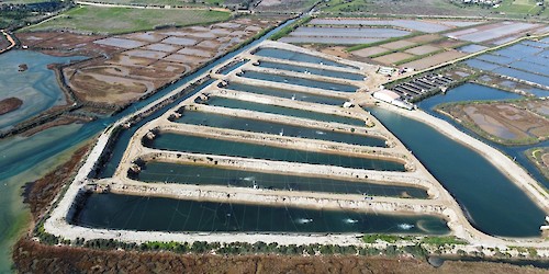 No âmbito dos roteiros “aMAR a Terra” a CCDR Algarve, I.P. divulga projetos regionais apoiados pelo MAR2020