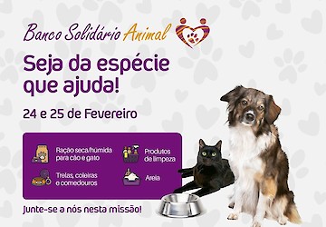 Animalife Convoca os Heróis Solidários da Causa Animal para a 33ª Iniciativa do Banco Solidário Animal