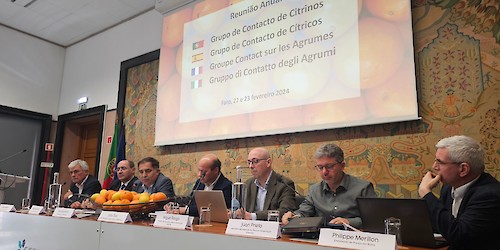 Algarorange acolhe reunião do grupo de contacto dos citrinos em Faro