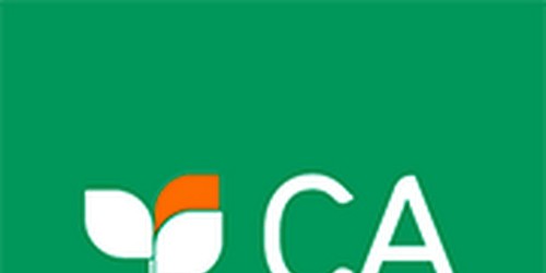 Crédito Agrícola lança campanha CA Agricultura com o mote “Desde sempre a apoiar o Sector Agrícola”