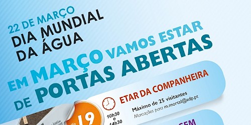 Dia Mundial da Água: Devemos cuidar da água todos os dias do ano!