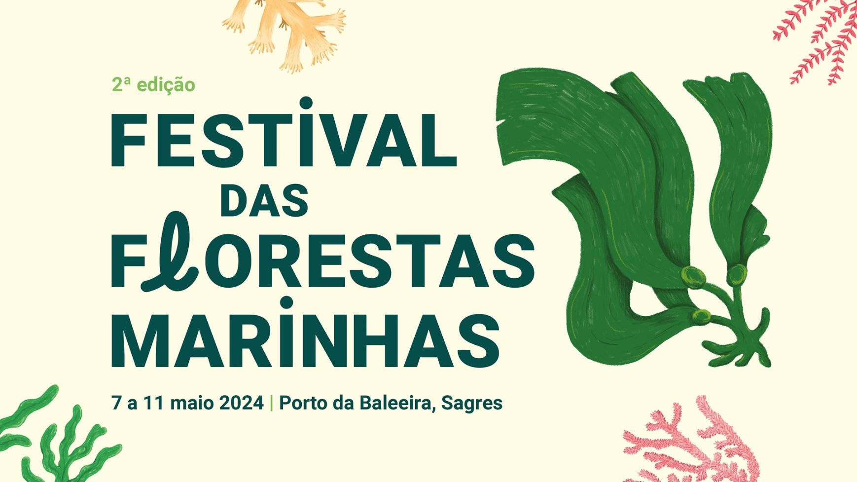 UAlg e Município de Vila do Bispo organizam “Festival das Florestas Marinhas”