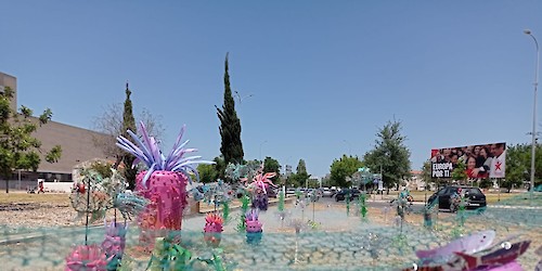 Dia Mundial dos Oceanos celebrado no Algarve com Sete Rotundas Marinhas