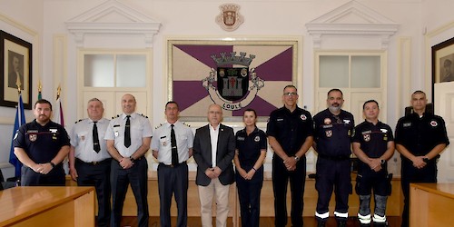 Exército vai novamente ajudar a câmara de Loulé a defender a floresta contra incêndios