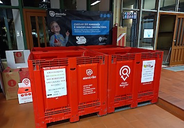 Há 56 escolas no distrito de Faro a recolher pilhas, lâmpadas e equipamentos elétricos para reciclagem