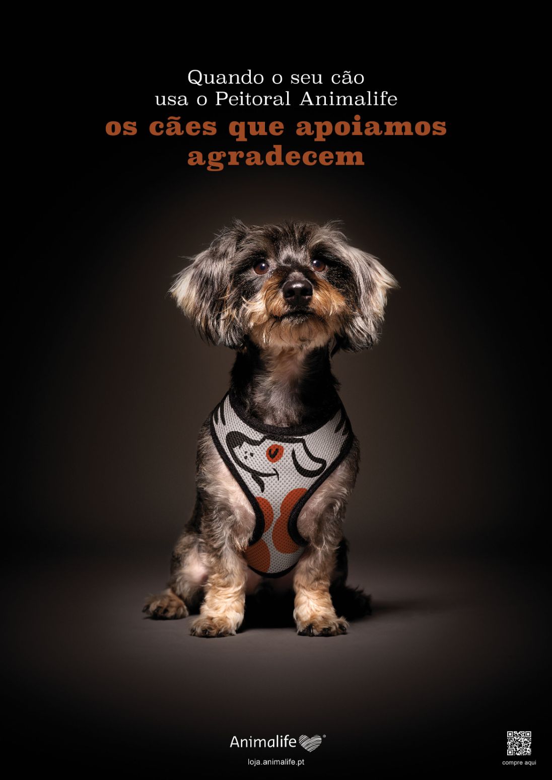 Animalife e FCB lançam campanha “Peitoral Salva-Vidas” para promover a segurança animal e apoiar famílias vulneráveis