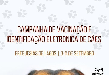 Campanha de vacinação e identificação eletrónica de cães nas freguesias