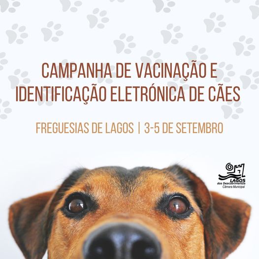 Campanha de vacinação e identificação eletrónica de cães nas freguesias