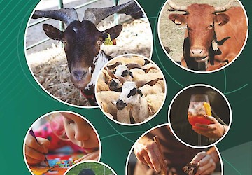 CCDR Algarve na FATACIL apresenta exposição agropecuária de raças autóctones, showcookings, seminários e animação infantil