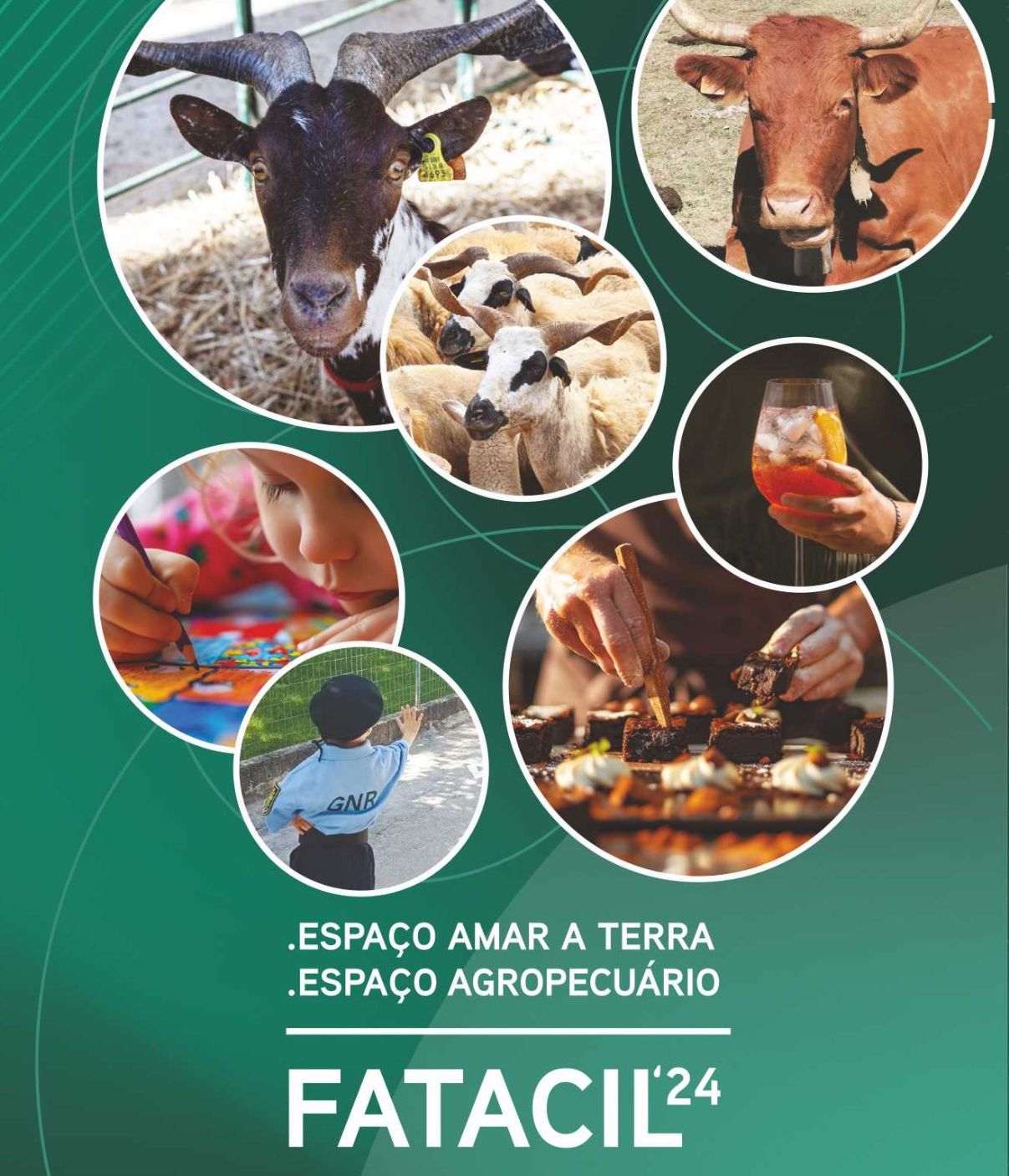 CCDR Algarve na FATACIL apresenta exposição agropecuária de raças autóctones, showcookings, seminários e animação infantil