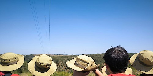 56 jovens vigiaram área florestal do concelho de Loulé