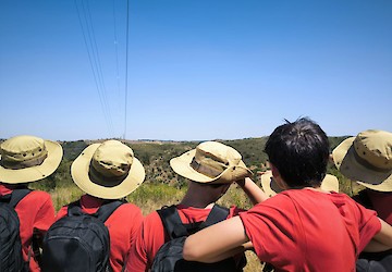 56 jovens vigiaram área florestal do concelho de Loulé